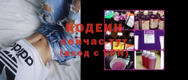 соль ск Пестово