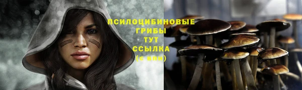 дмт Арсеньев