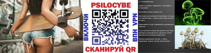 Псилоцибиновые грибы Psilocybe  как найти   Советск 